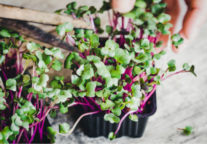 AdobeStock 137844260 1